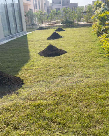 سماد عضوي كمبوست ( نباتي )