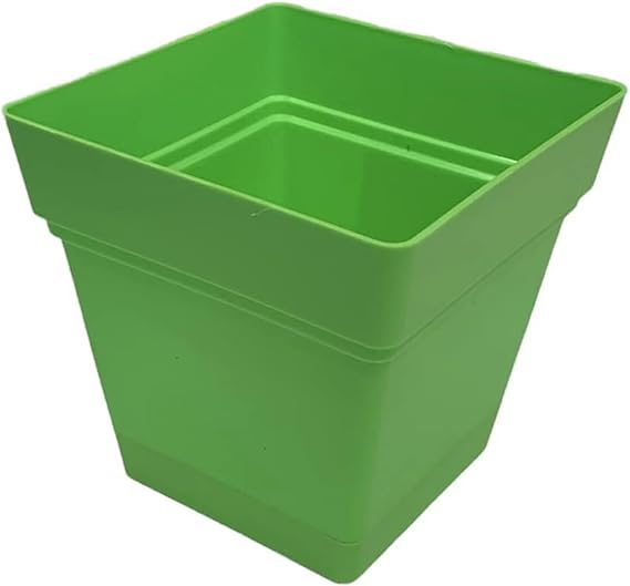 اصيص منترا مربع