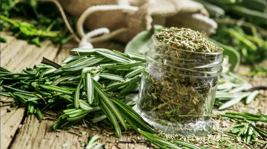 اكليل الجبل ( روزماري )