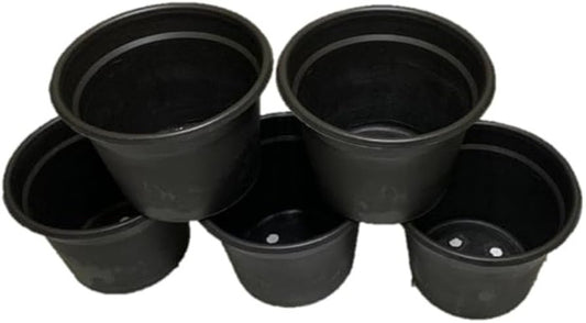 اصيص زراعة اسود