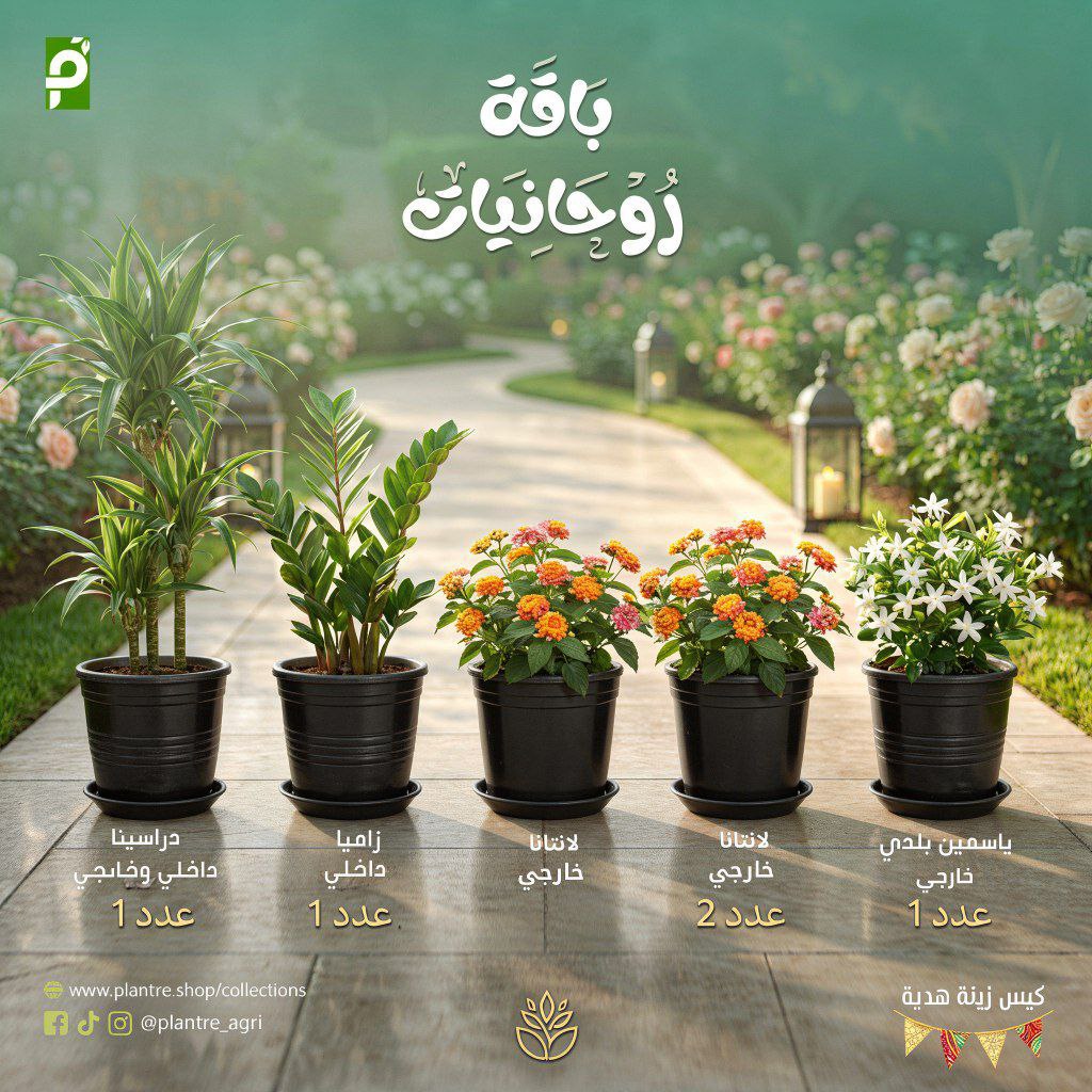 باقة روحانيات