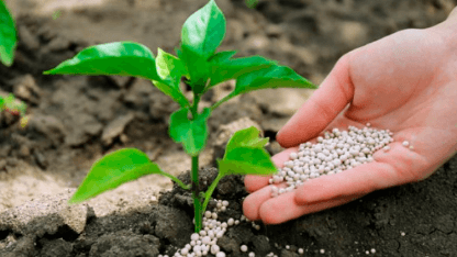 Fertilizers and Pesticides