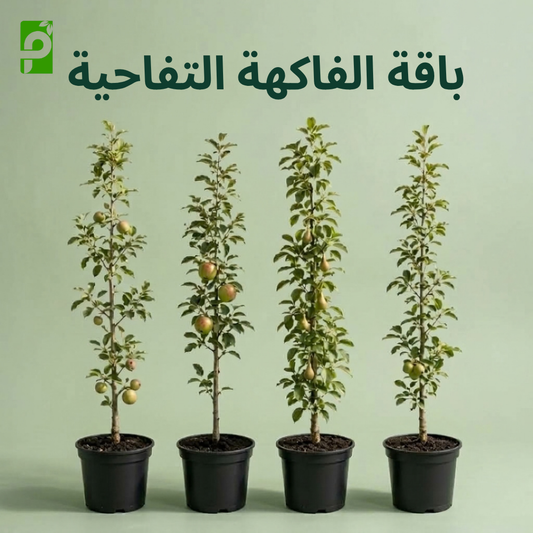 باقة الفاكهة التفاحية (تفاح, كاكا, برقوق, خوخ)