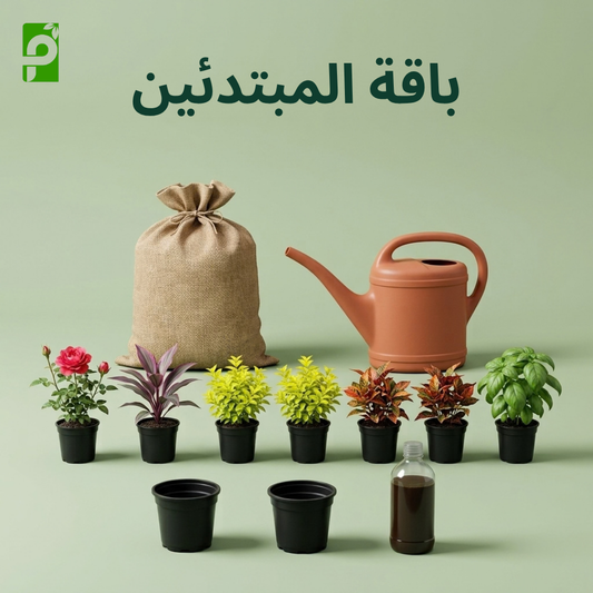 باقة المبتدئين