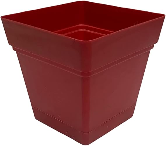 اصيص منترا مربع