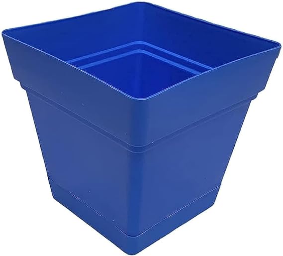 اصيص منترا مربع