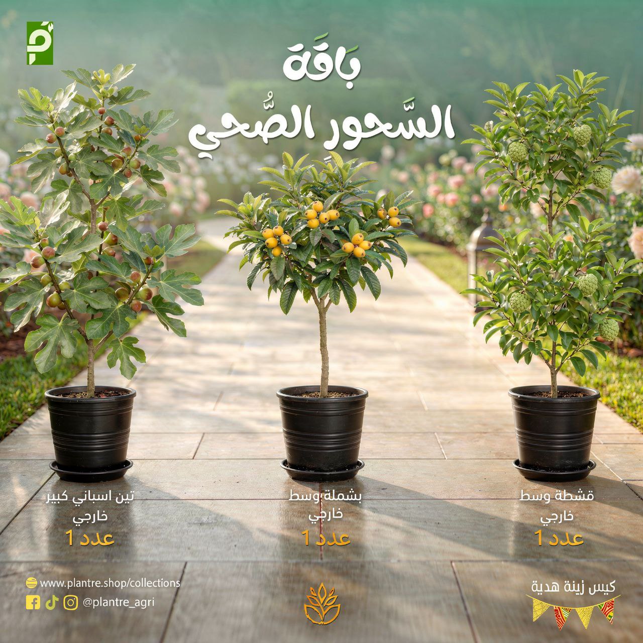باقة السحور الصحي